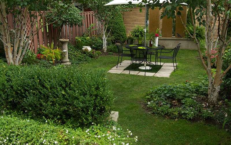 Liten trädgård-gräsmatta-trästaket-trädgård fontän-häck växter