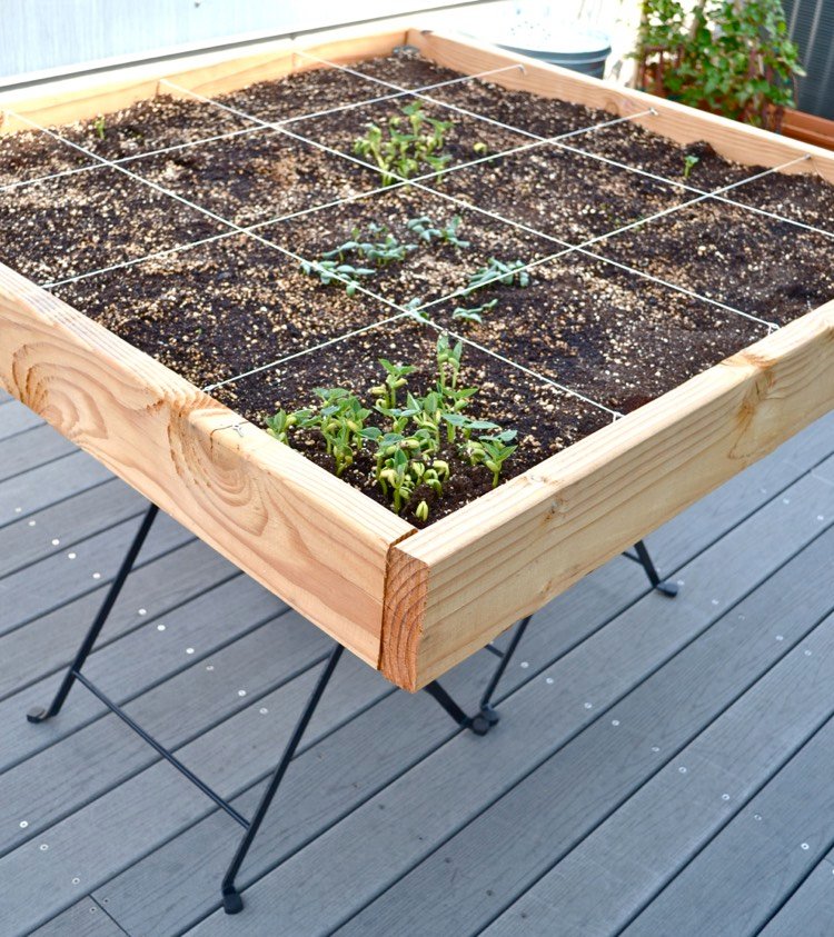 Höjda säng-bord-ram-balkong-växande-grönsaker