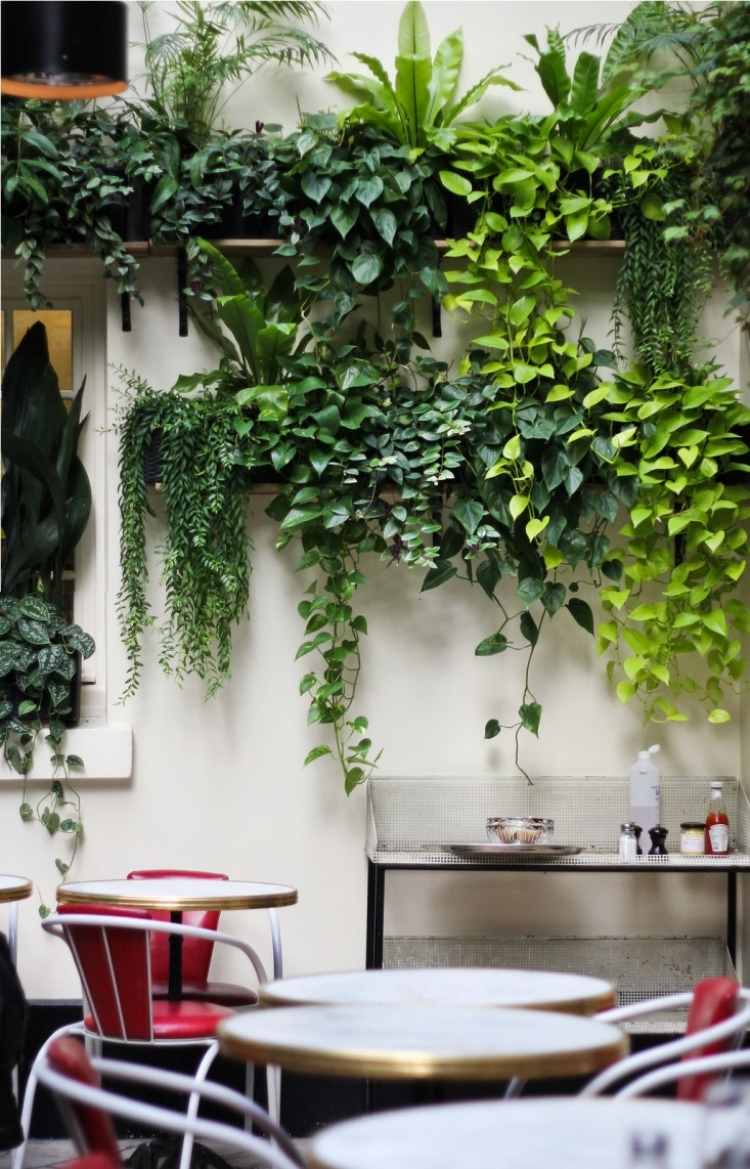 klätterväxter-balkong-terrass-lägenhet-stolar-bord-fräsch-grön