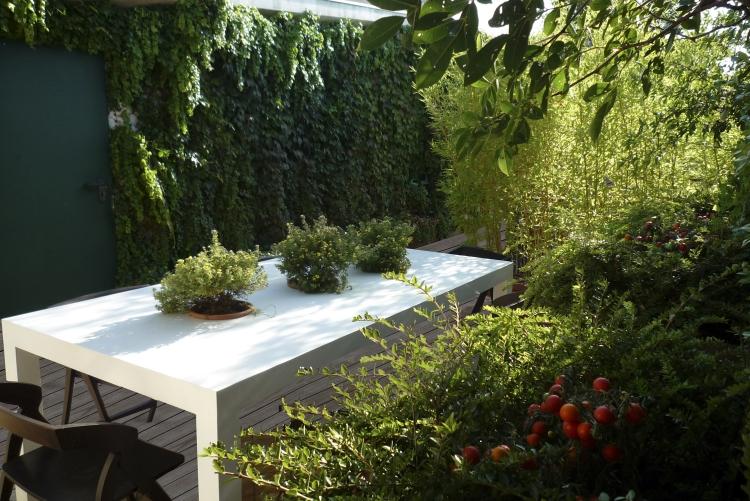 Klätterväxter-balkong-terrass-murgröna-integritetsskydd-växtbordsstolar