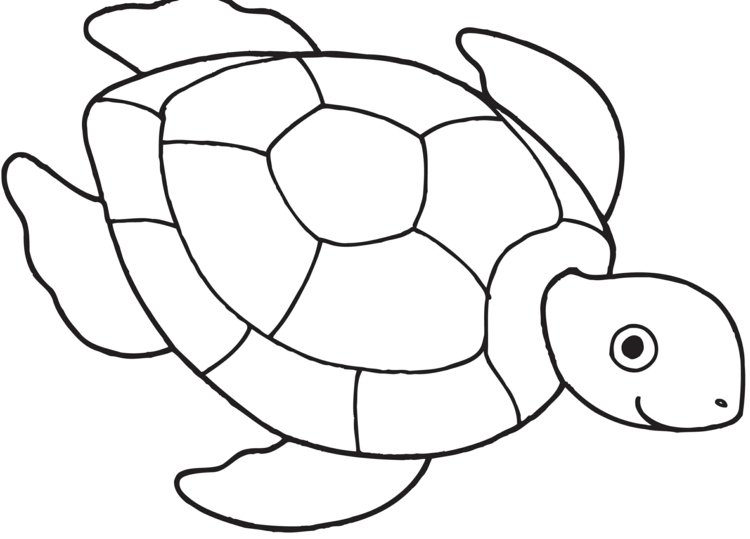 Utskrivbar mall för en sköldpadda