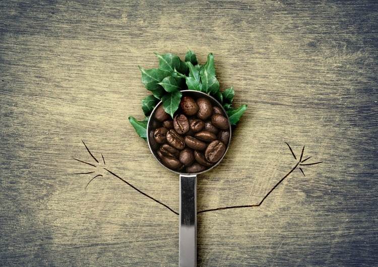 koffeineffekt på hjärnan avbildad med sked som en hane med hår av blad