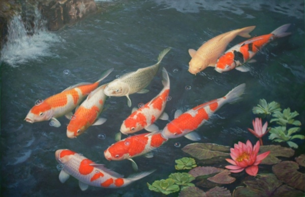 Vatten trädgård skapa en damm Koi fisk uppfödning tips