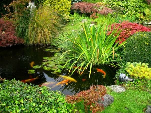 Koi fiskträdgård designidéer i japansk stil