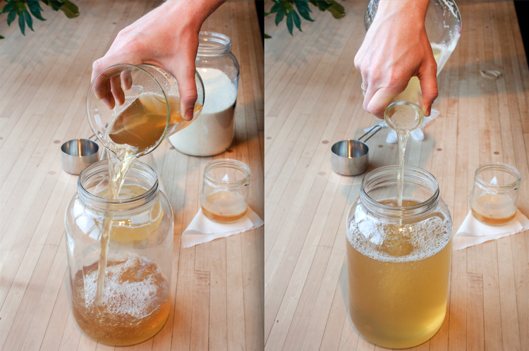 Gör dina egna Kombucha -receptinstruktioner för att förbereda te och vinäger