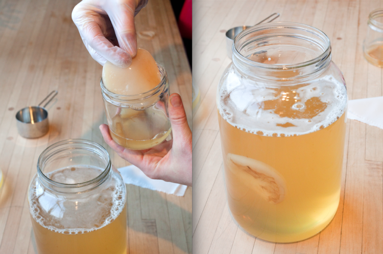 Gör dina egna kombucha te svampdryck instruktioner
