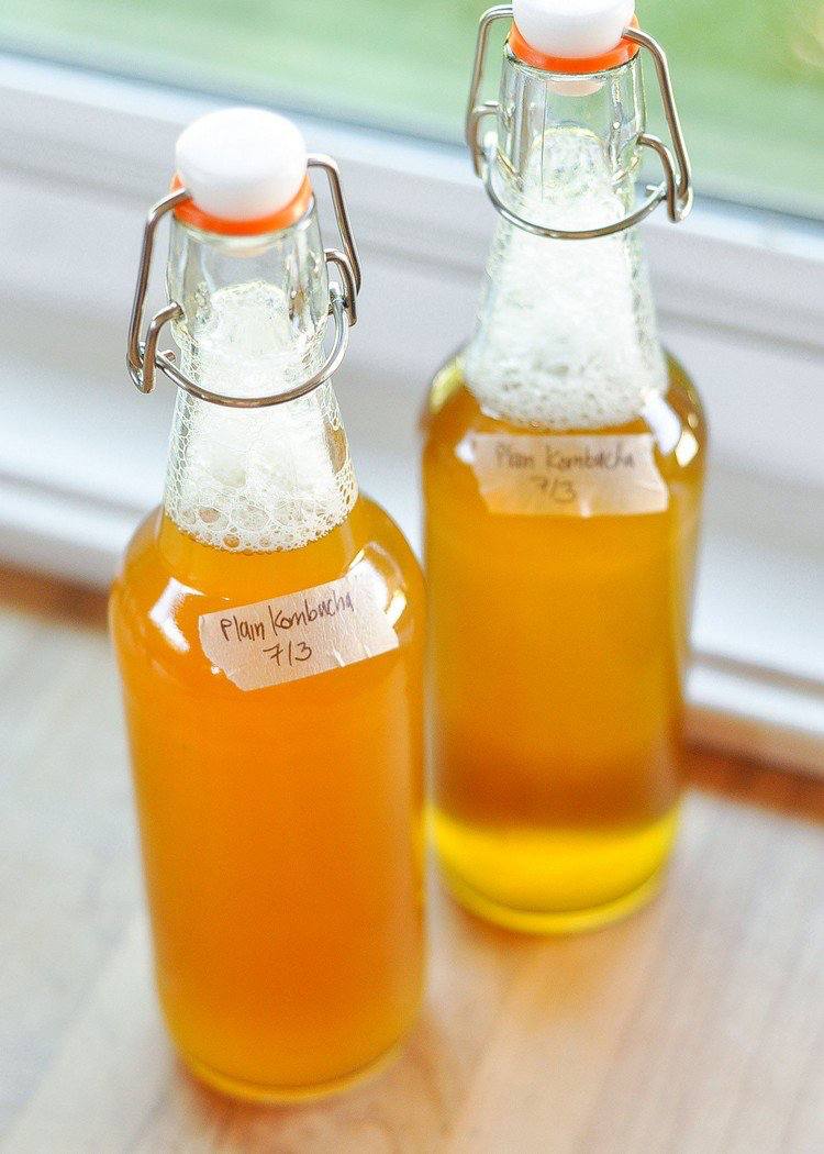 Gör din egen Kombucha dricka te själv instruktioner