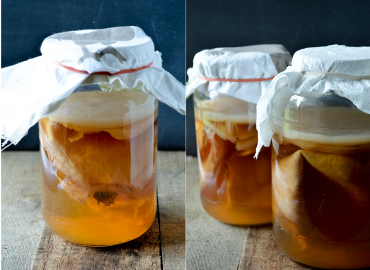 Gör din egen Kombucha -drink förbered teinstruktioner
