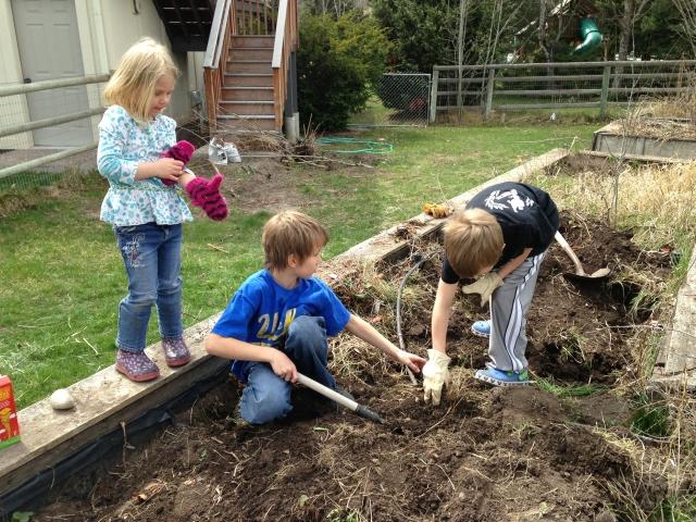 trädgård-arbete-barn-hjälp-med-stövlar