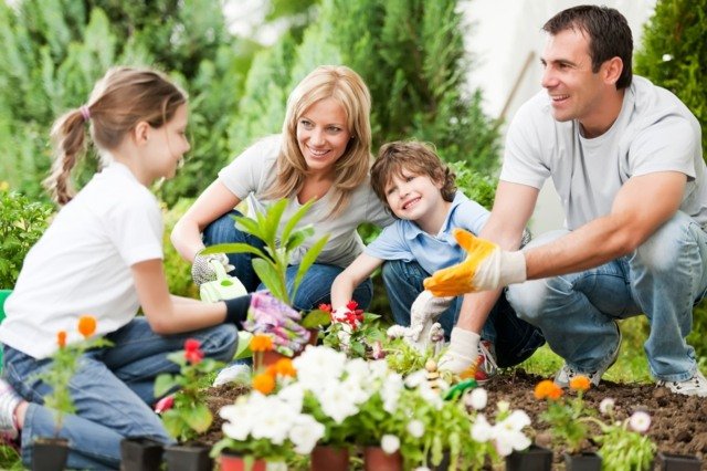Familj ordentligt kompost planterar vårblommor