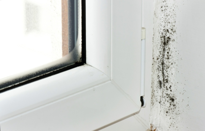 ventilationshus mögelfönster fuktprofil ventilationssystem