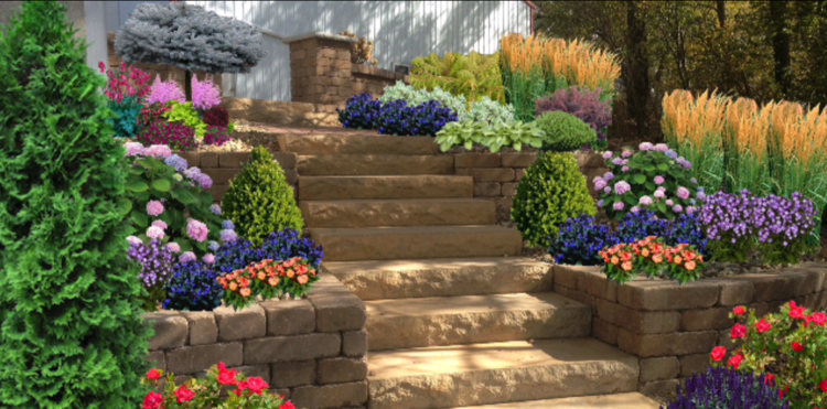 gratis trädgårdsplanerare steg stenblomma terrasser vintergröna