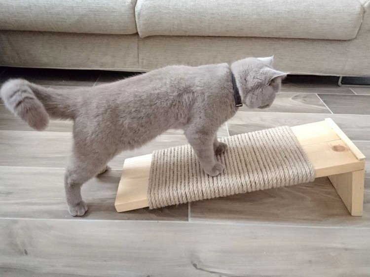 skrapa brädan katt bygga själv av träskivor och rep
