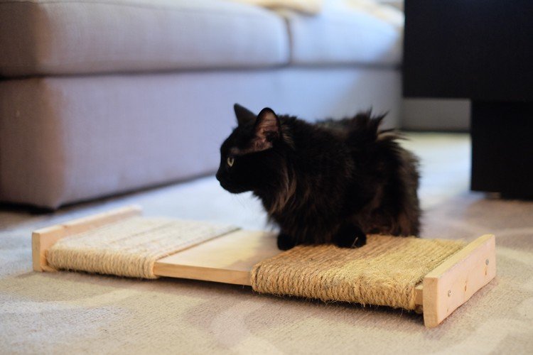 svart katt skrapa bräda diy