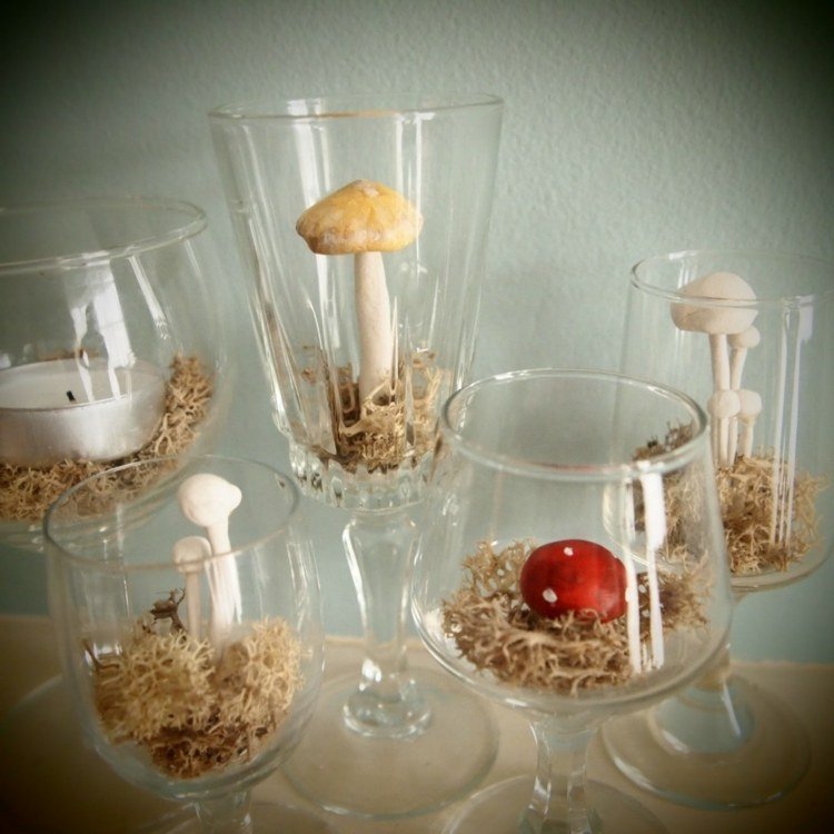 dekorera platta glas svampar mossa torr vind ljus
