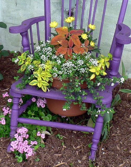 Trädgårdsinredning omvandlar stolar till blomkrukor lila