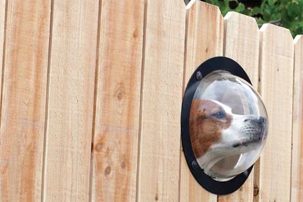 Trästaket litet fönster trädgård idéer-husdjur hund