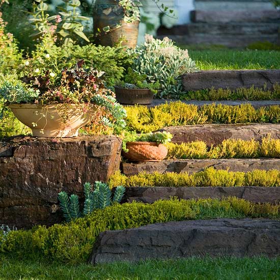 Trädgårdsdekoration trädgårdsidéer stentrappor växt stenväxter
