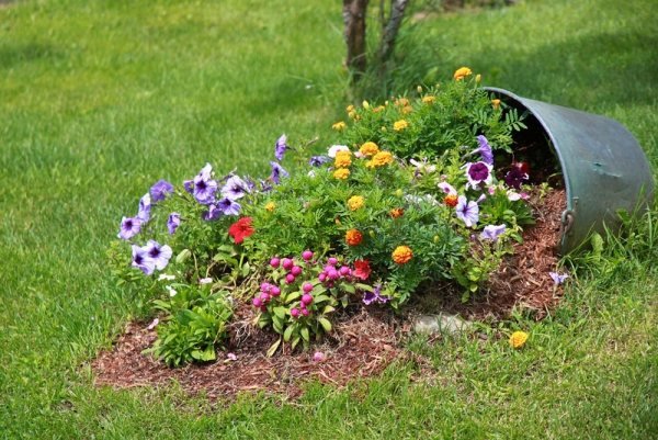 trädgård idé blommor växt dekorativa sätt