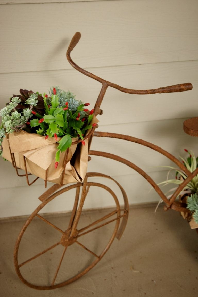 kreativa trädgård idéer succulenter utomhus design metall rostfritt stål