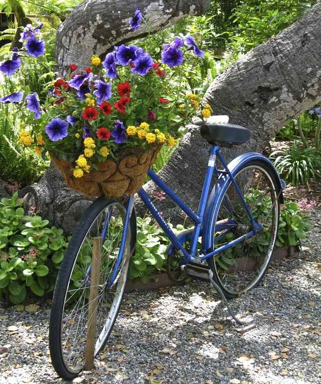 Gör violett vårblommor gul trädgårdsdekoration själv