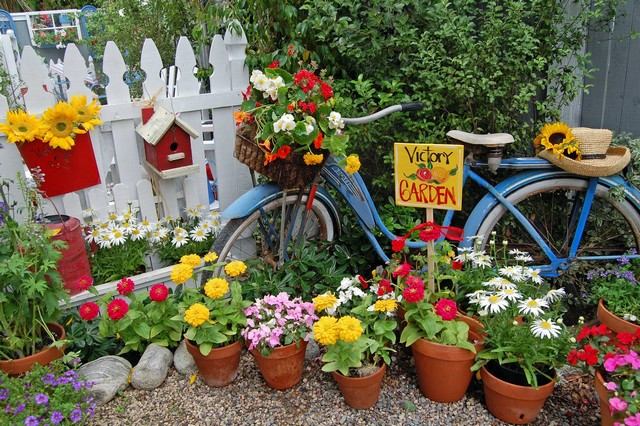 Blomkrukor gammal cykelväxt fågelmatare