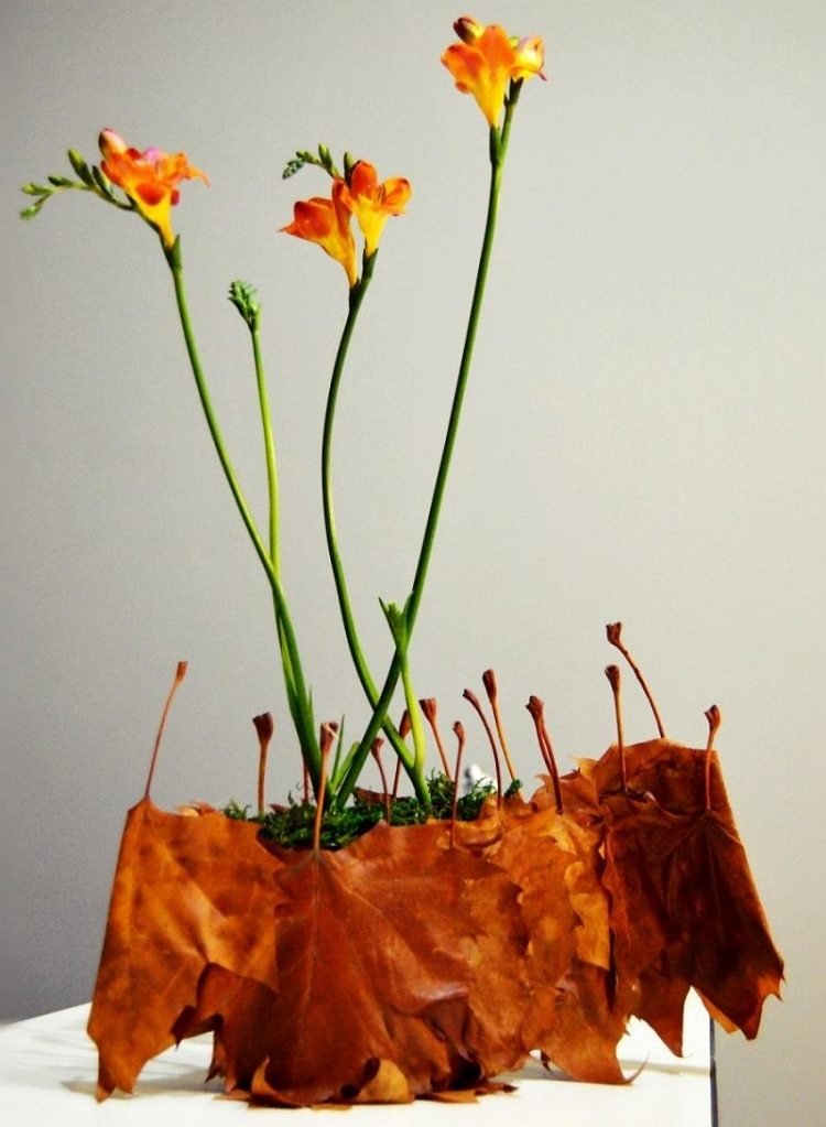 höst-dekoration-idéer-planter-höst-blad-dekorera-dekorera