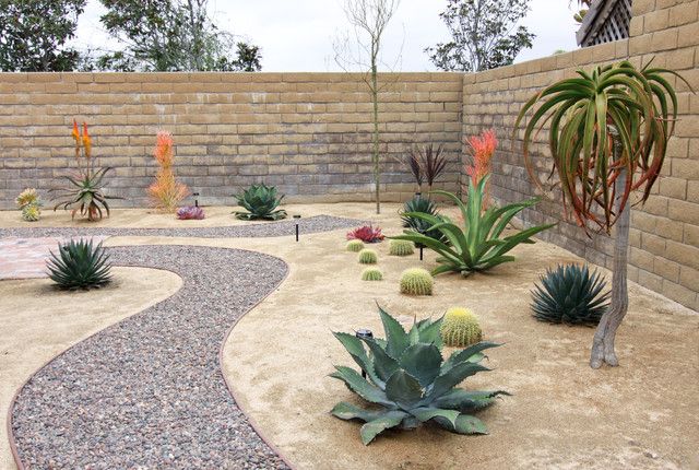 sand trädgård torra växter idé trädgård design