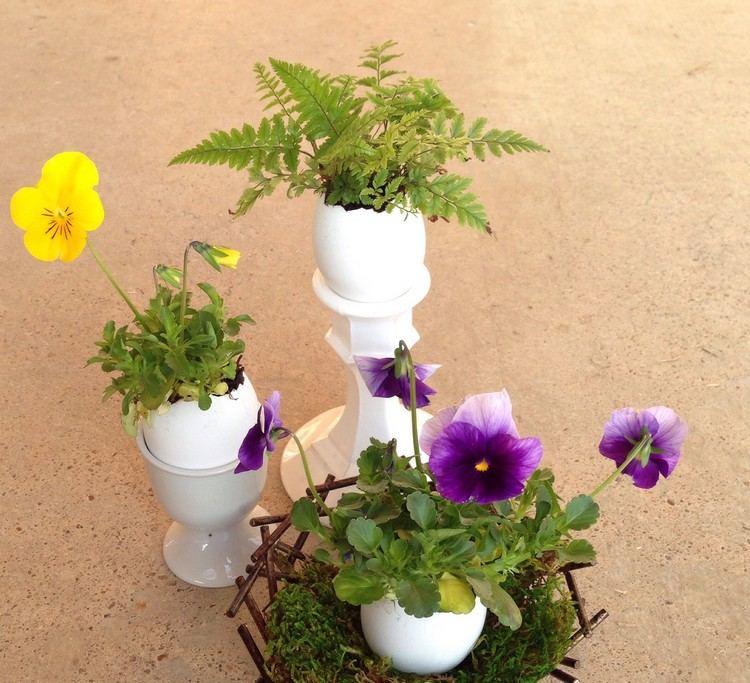 Idéer för påskdekoration vaser-äggskal-pensé-ormbunkar-växter