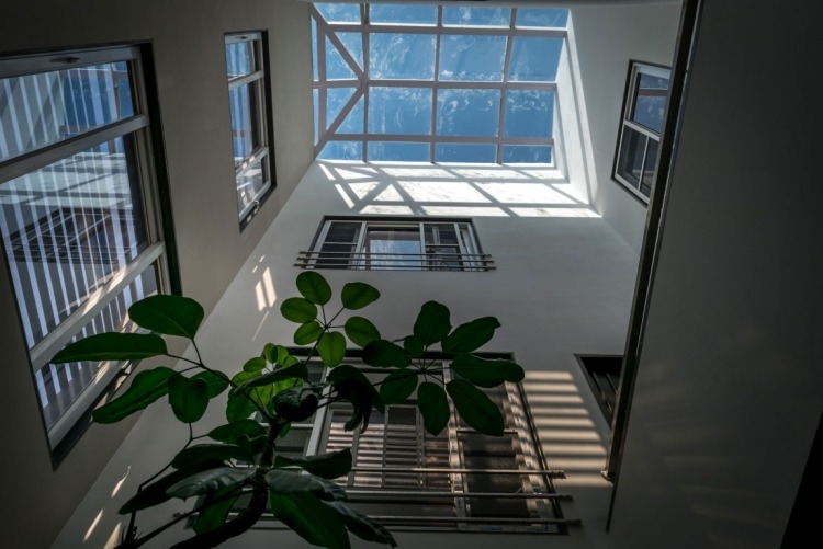kreativ-vägg-design-modern-design-glas-tak-takfönster-gröna-växter