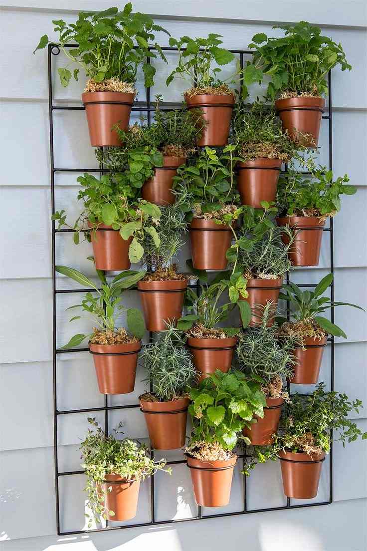 örter-balkong-växter-vertikal-trädgård-kryddor-blomkrukor-staneder