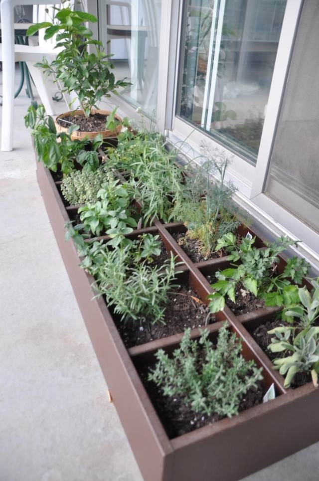 Plantera örter på balkongen idé skapa en trädgård trälåda uppdelad