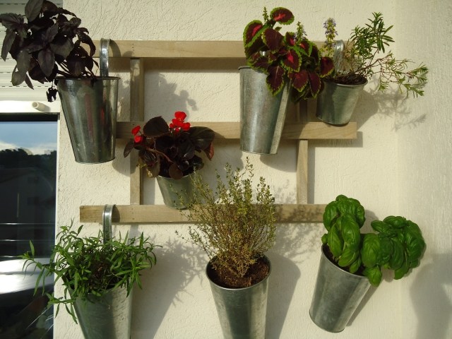 Örträdgårdsbalkong hänger växter vertikalt