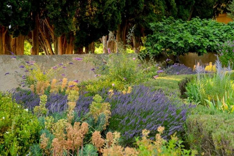 Ört-Doft-Växter-Engelska-Trädgård-Lavendel-Timjan