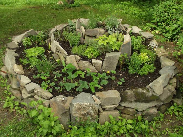Plantera örtspiralen korrekt i sommarsolen