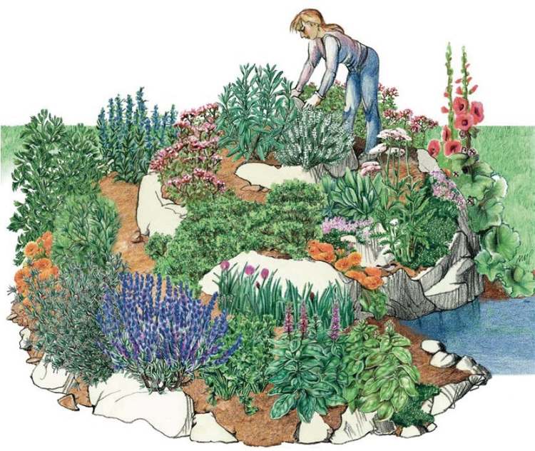 ört spiral med blommor och örter växt trädgård plan illustration