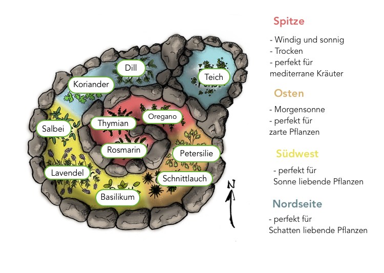 Plantera örtspiralen korrekt med dammen norra sidan av solspetsen