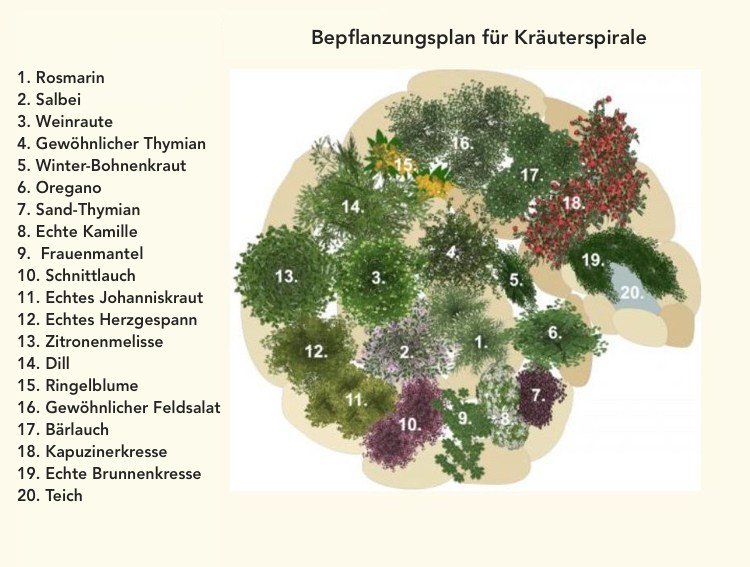 Örtspiral med dammplanteringsplan med örter och blommor