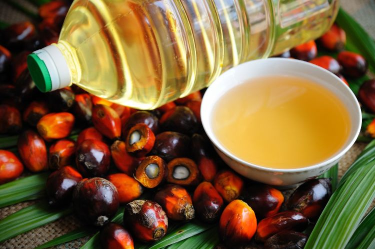 stekpalmolja värme frukt palmblad olja palmflaska mugg skål olja