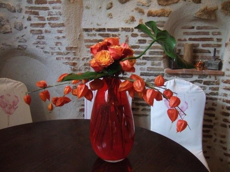 lampion-blomma-physalis-höst-dekoration-rött-glas-vas