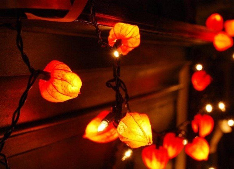 Lampionblume-physalis-Herbstdeko-tinker-fairy lights-skorsten