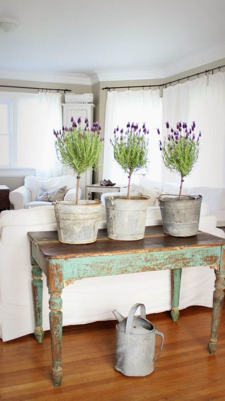 Lavendeldekoration - planterings - växter - hem - vattenkanna - skänk - vardagsrum - rustikt