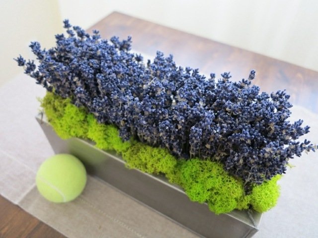 Bord lavendel växt kruka grön dekoration