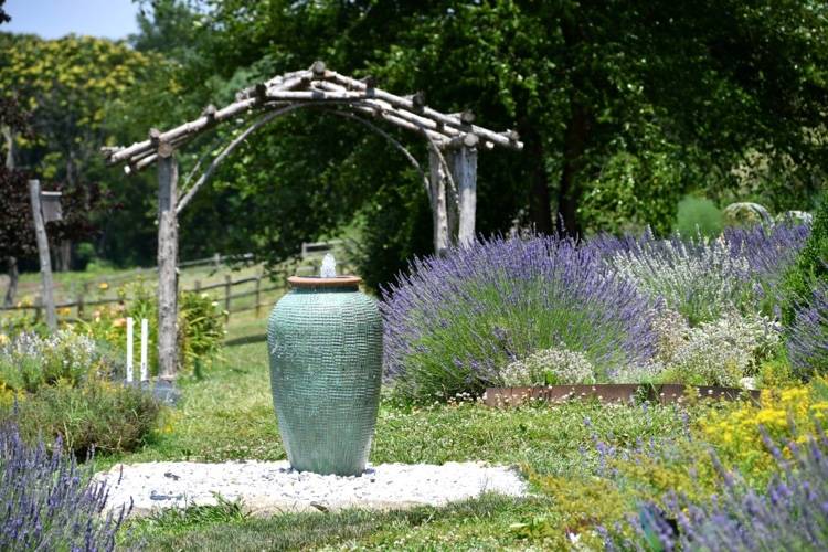 Skärning av lavendel Varför är sommarskärning nödvändiga tips