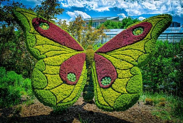 växt-skulpturer-fjäril-atlanta-botanisk-trädgård-6