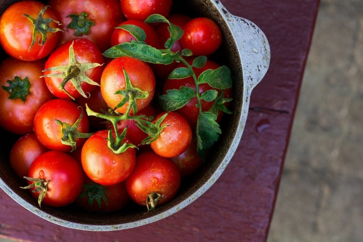 röda tomater grönsaker rika på vitaminer