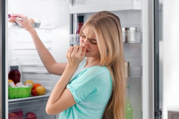Förvara ägg hur länge i kylskåpet vid strömavbrott och hur länge i kylskåpet vid strömavbrott