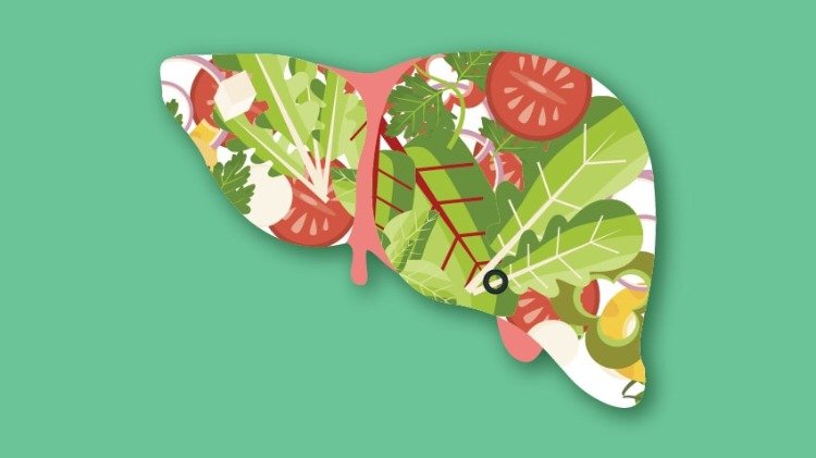 färgglad illustration av levern gjord av hälsosamma ingredienser som bladgrönsaker, tomater och andra naturprodukter
