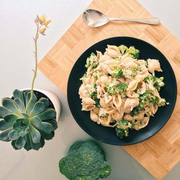 förbered utsökt pastasallad med majonnäsingredienser broccolitunfisk