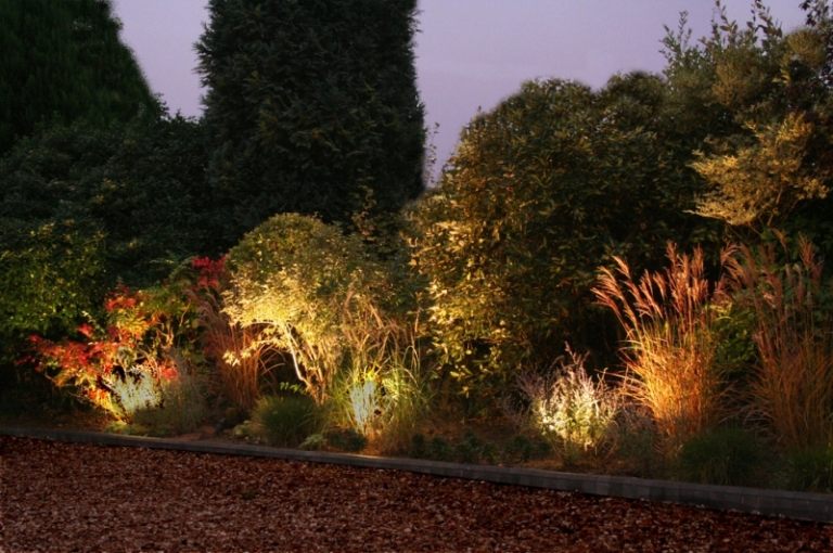 LED-trädgårdsbelysning-prydnadsgräs-höga-perenner